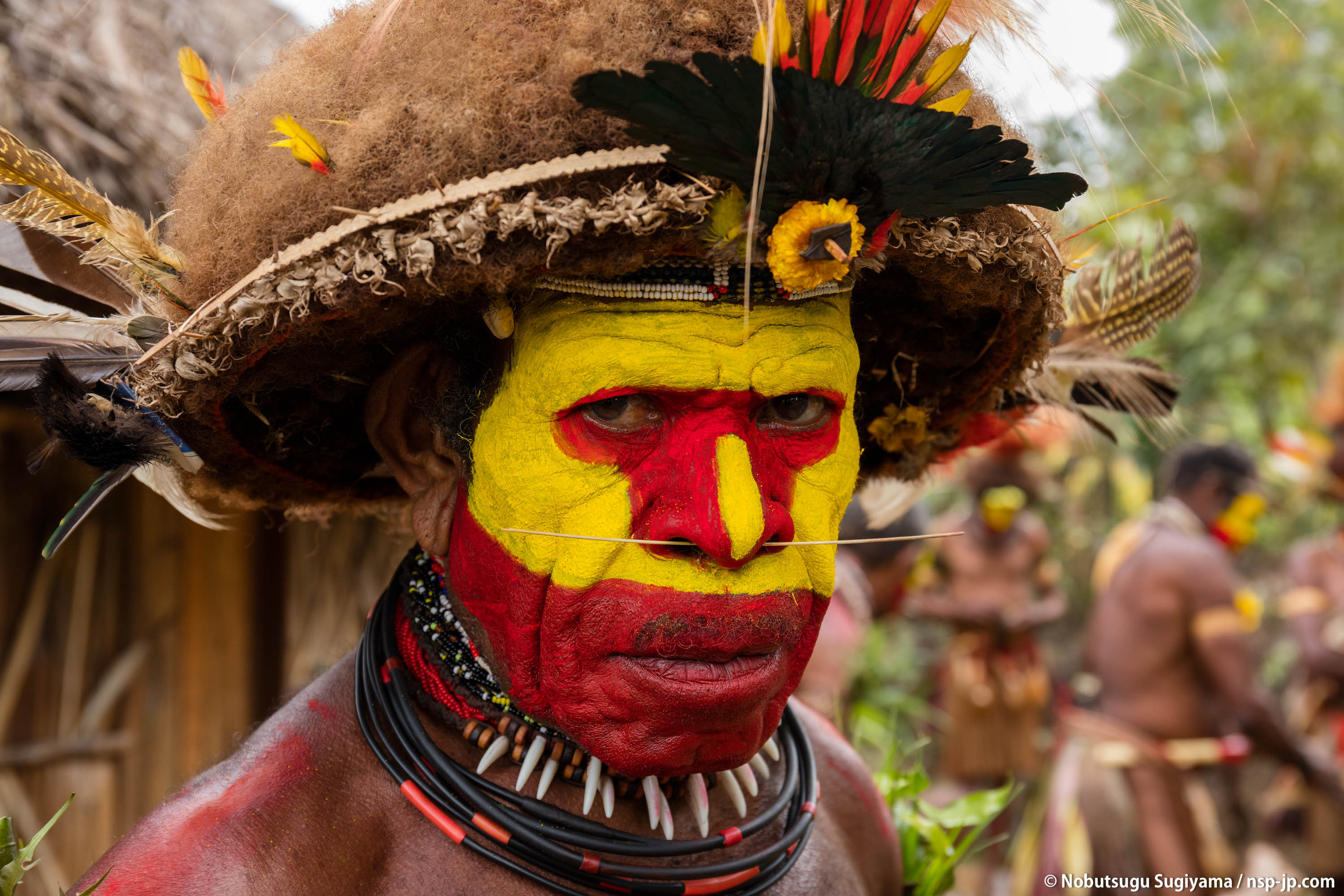 Hale Tribe,Tari, Papua New Guinea | 杉山宣嗣