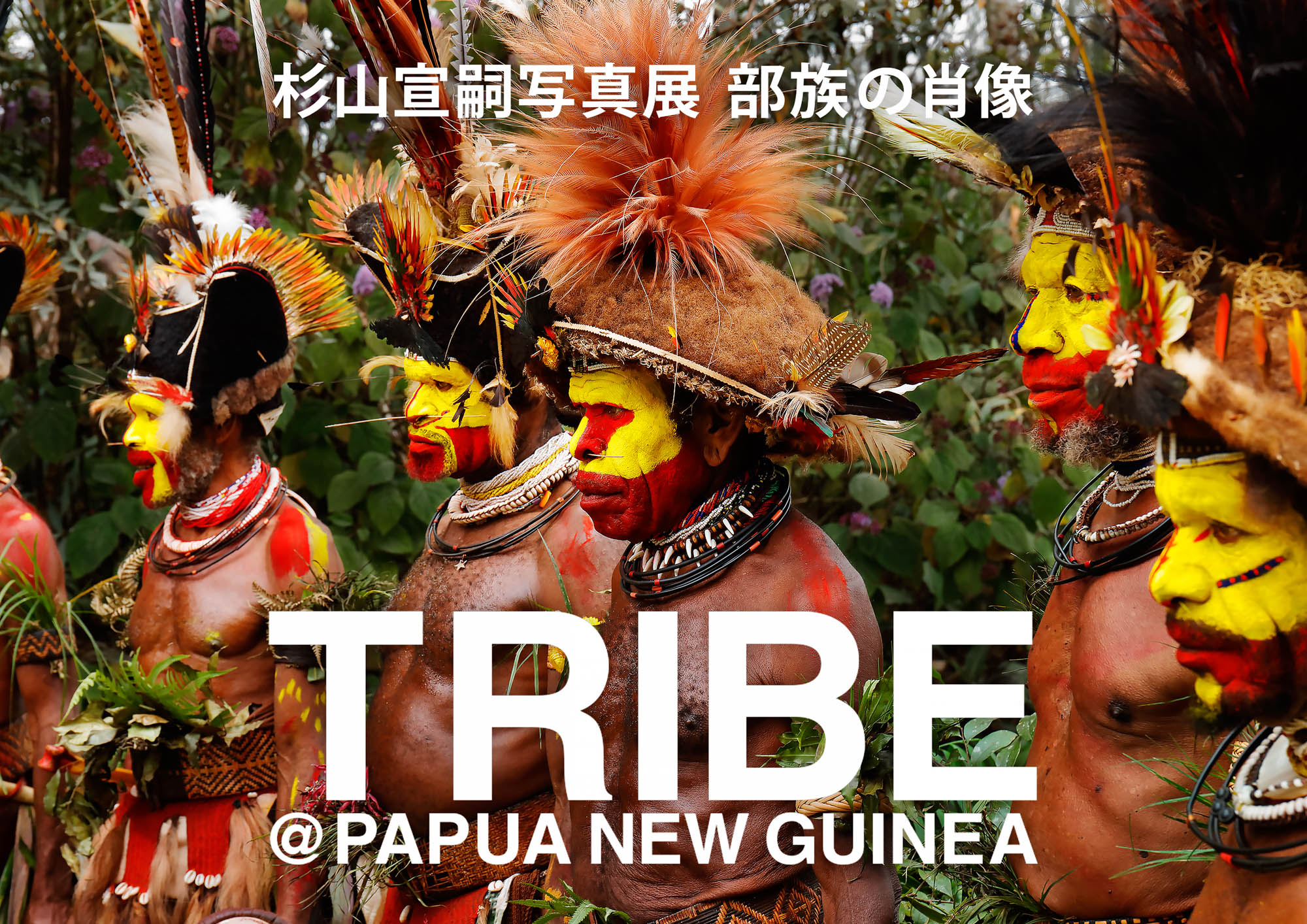 TRIBE@PAPUA NEW GUINEA | 杉山宣嗣写真展 部族の肖像